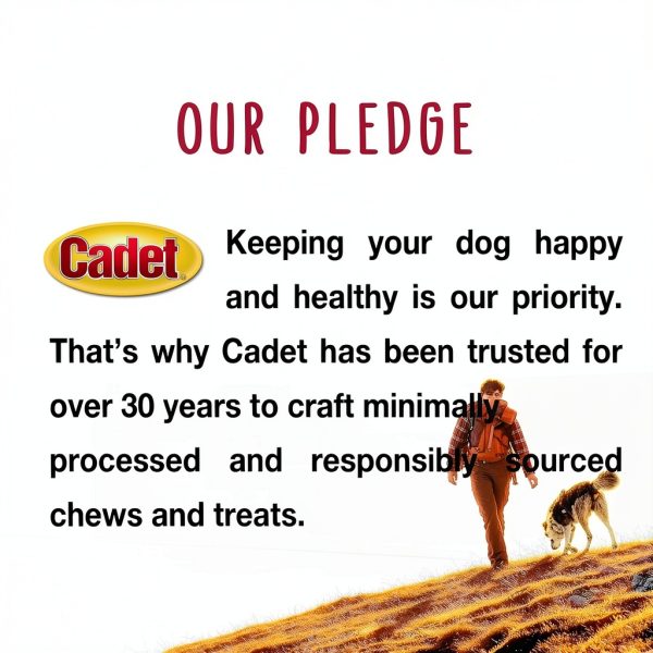 Cadet Bully Sticks Small Dogs – Natural Beef Pizzle High Protein 12 oz-9